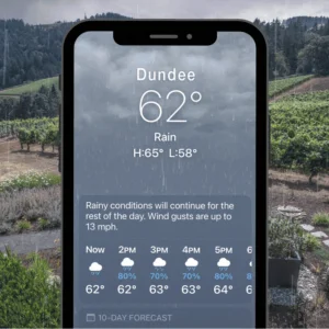 Weather app on iPhone showing rainy weather forecast